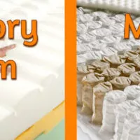 memory vs molle